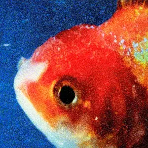 Vince Staples	745	2017	Def Jam